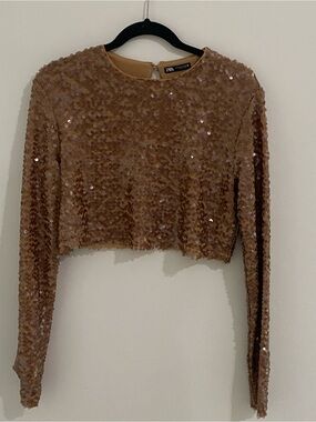 Zara Golden Brown/Tan Sequin Long-Sleeve Cropped Top